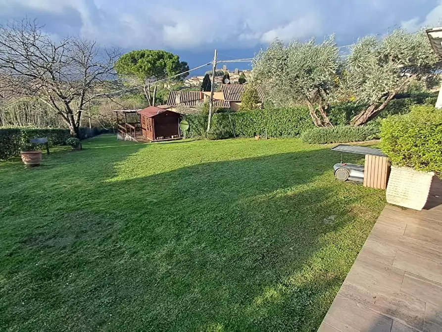 Immagine 13 di Casa trifamiliare in vendita  a Montescudaio