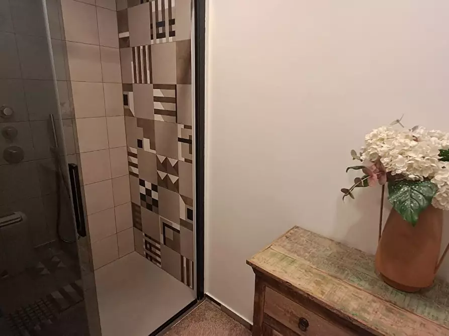 Immagine 30 di Casa trifamiliare in vendita  a Montescudaio