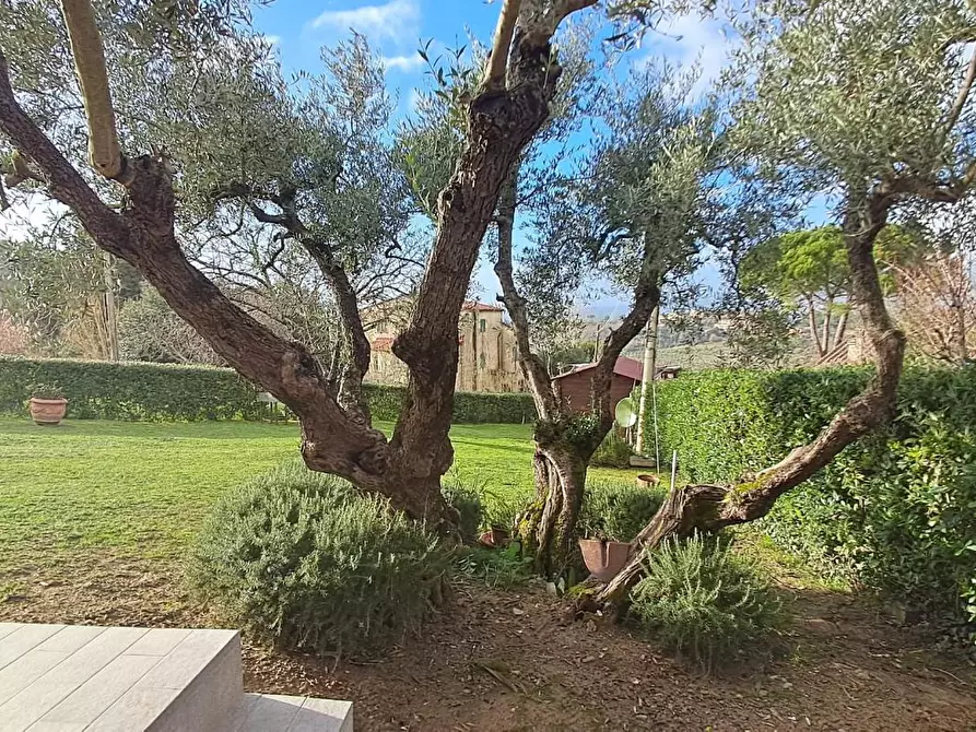 Immagine 47 di Casa trifamiliare in vendita  a Montescudaio