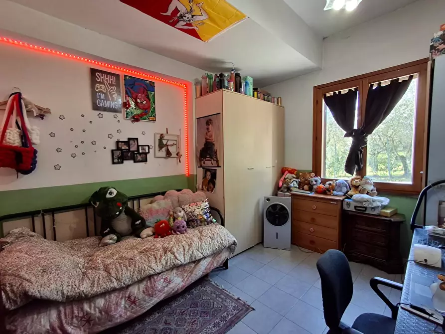 Immagine 5 di Appartamento in vendita  a Vinci