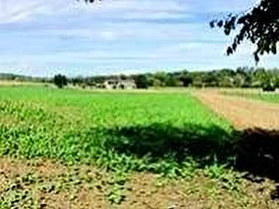 Immagine 10 di Attività artigianale in vendita  a Quattordio