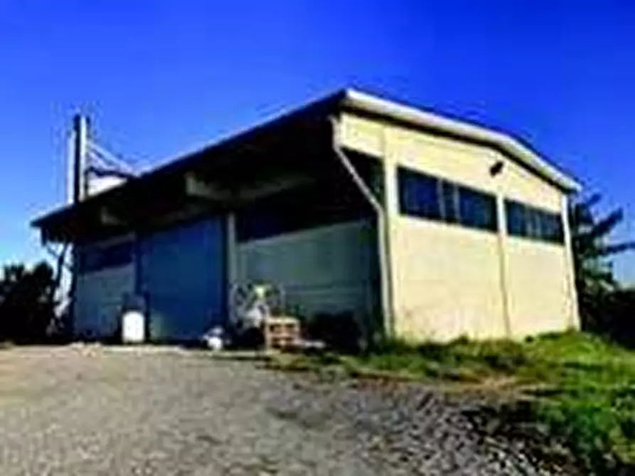 Immagine 5 di Attività artigianale in vendita  a Quattordio