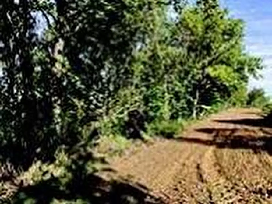 Immagine 7 di Attività artigianale in vendita  a Quattordio