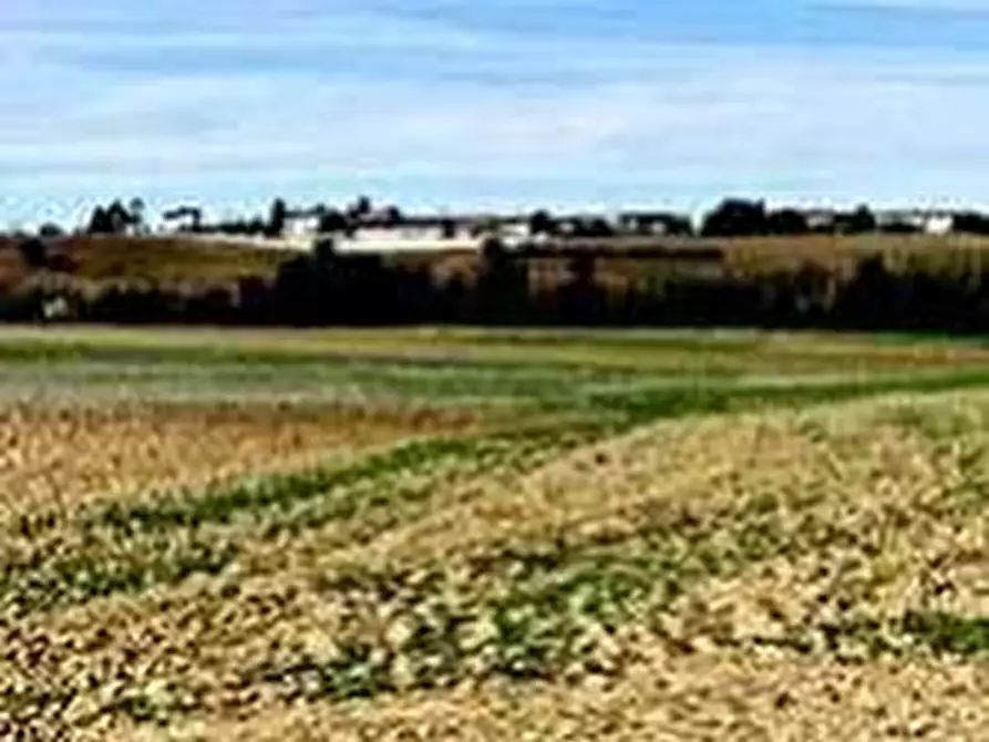 Immagine 12 di Attività artigianale in vendita  a Quattordio