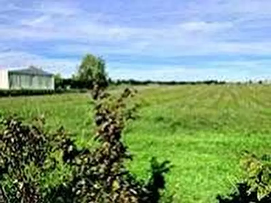 Immagine 13 di Attività artigianale in vendita  a Quattordio