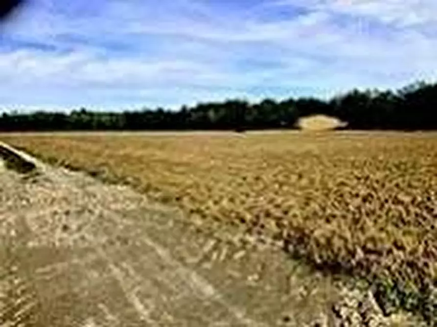 Immagine 9 di Attività artigianale in vendita  a Quattordio