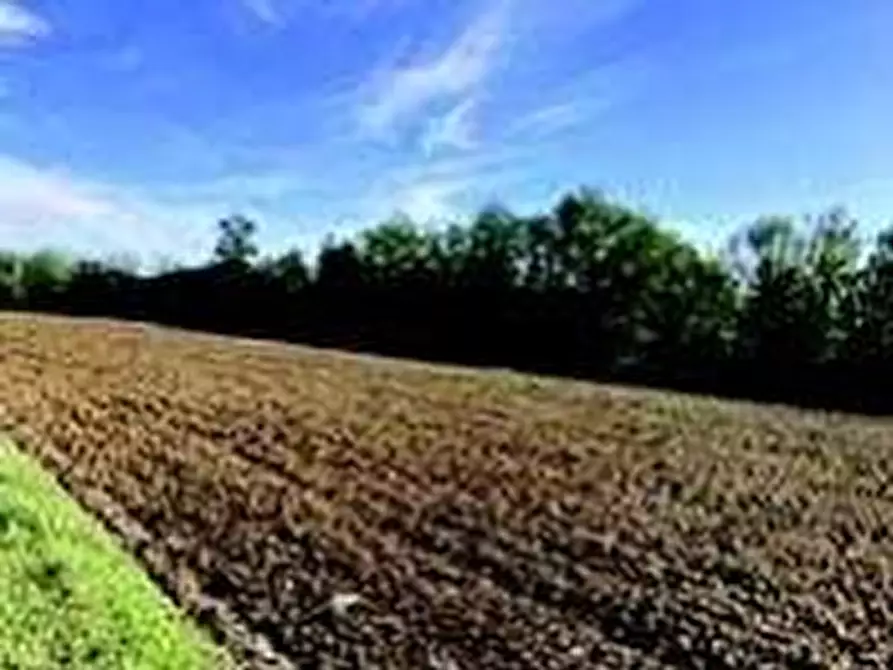 Immagine 6 di Attività artigianale in vendita  a Quattordio