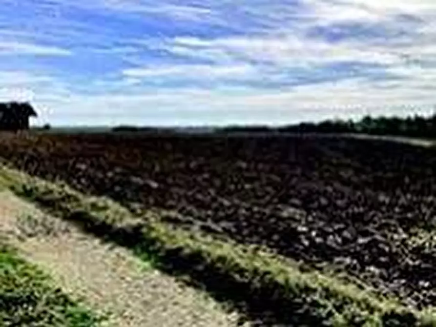 Immagine 11 di Attività artigianale in vendita  a Quattordio