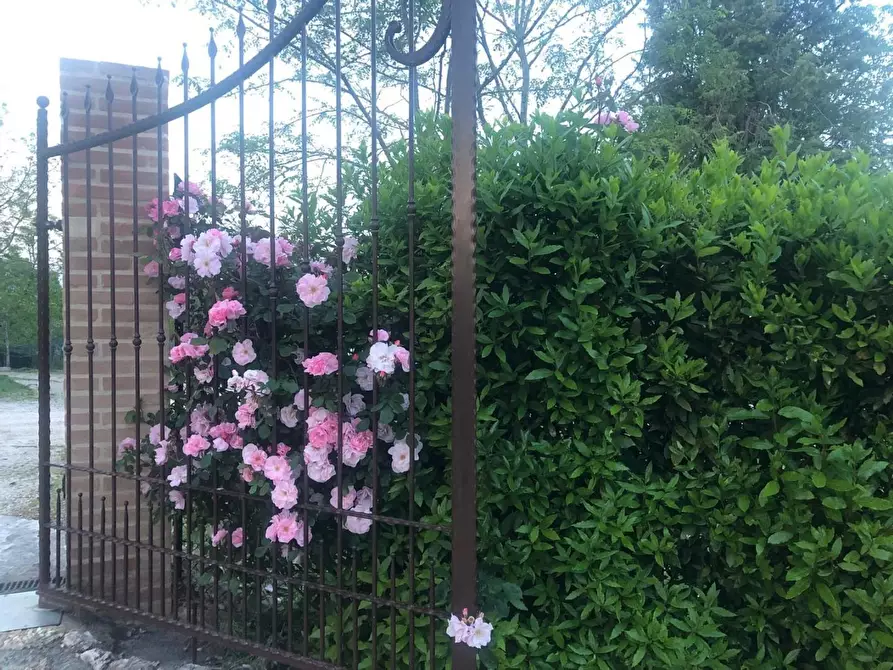 Immagine 6 di Villa in vendita  a Siena