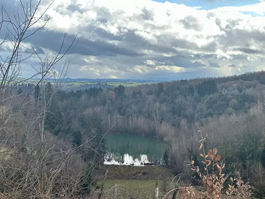 Immagine 9 di Villa in vendita  a Siena