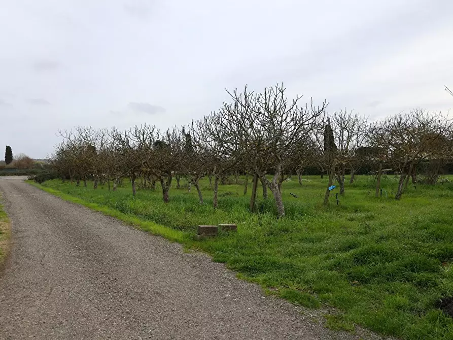 Immagine 9 di Villetta a schiera in vendita  a Casciana Terme Lari