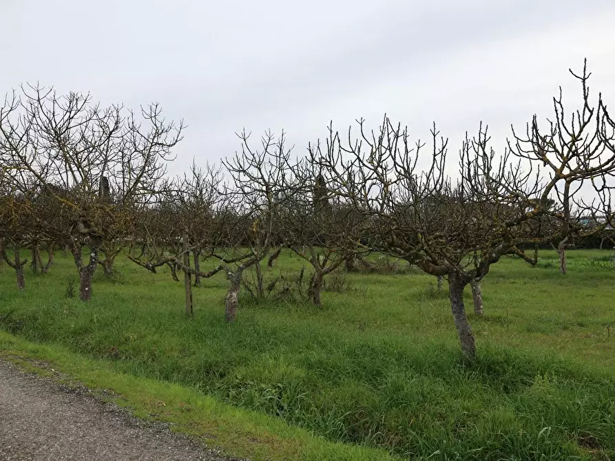 Immagine 10 di Villetta a schiera in vendita  a Casciana Terme Lari