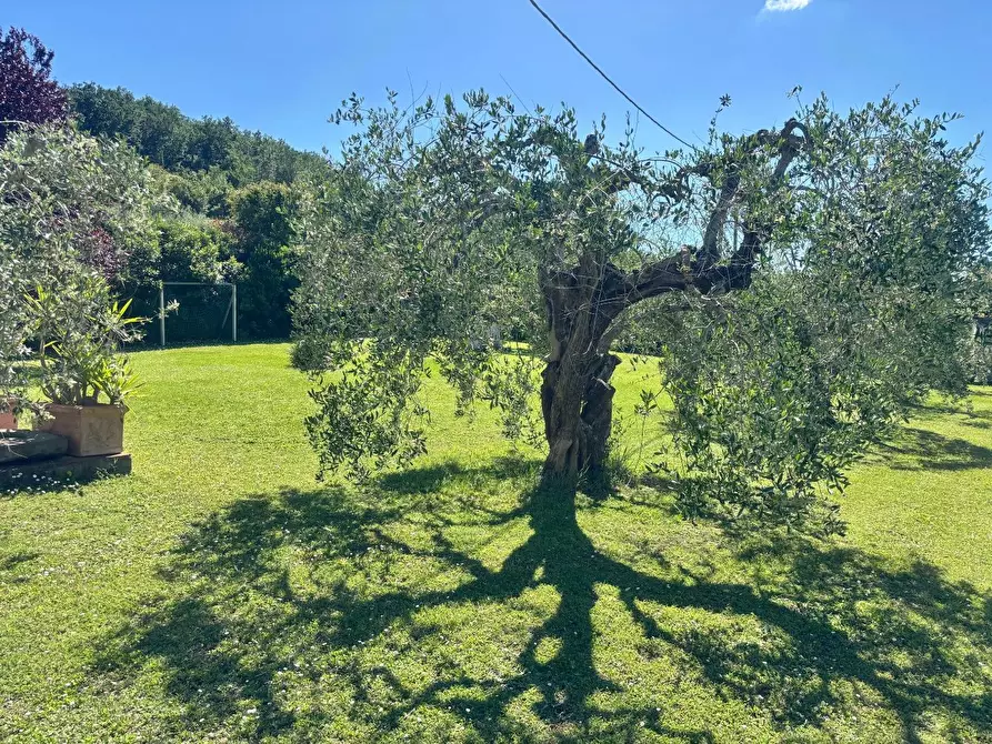 Immagine 61 di Casa indipendente in vendita  a San Miniato