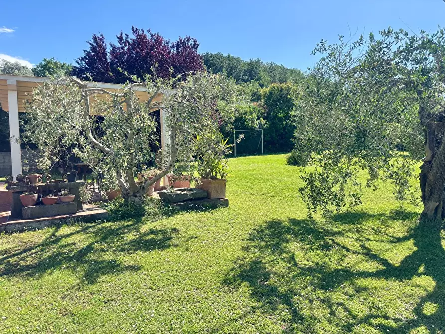 Immagine 62 di Casa indipendente in vendita  a San Miniato