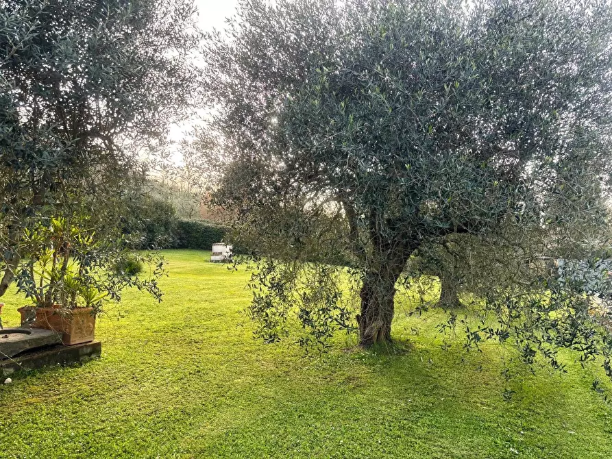 Immagine 50 di Casa indipendente in vendita  a San Miniato