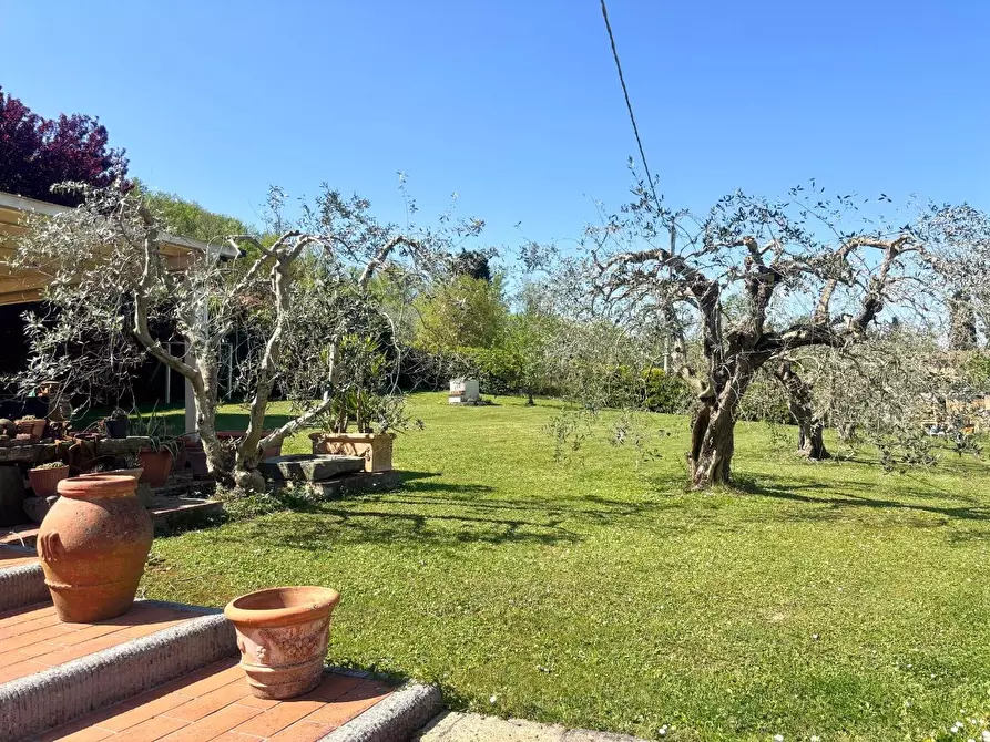 Immagine 50 di Casa indipendente in vendita  a San Miniato