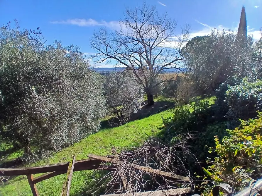 Immagine 34 di Villa in vendita  a Collesalvetti