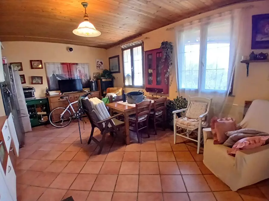 Immagine 18 di Villa in vendita  a Collesalvetti