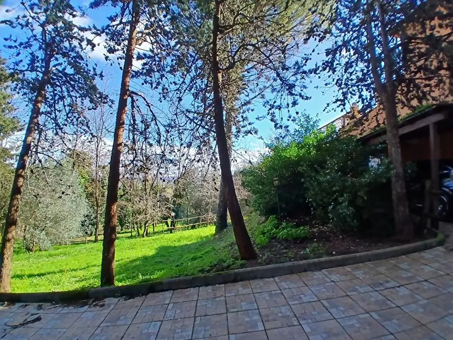 Immagine 36 di Villa in vendita  a Collesalvetti