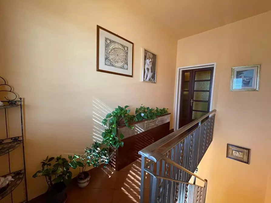 Immagine 25 di Casa bifamiliare in vendita  a Lucca