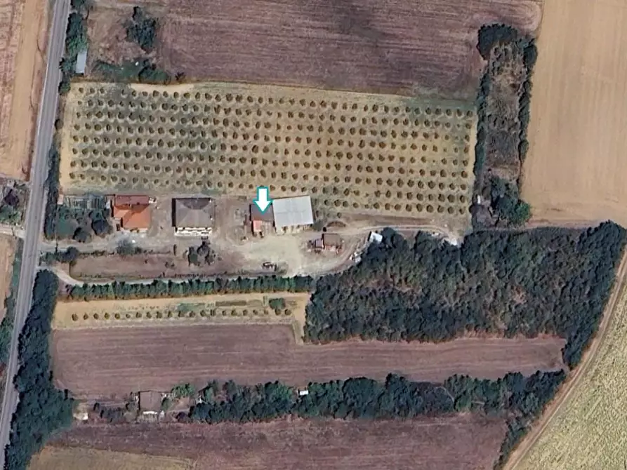 Immagine 1 di Magazzino in vendita  a Felizzano