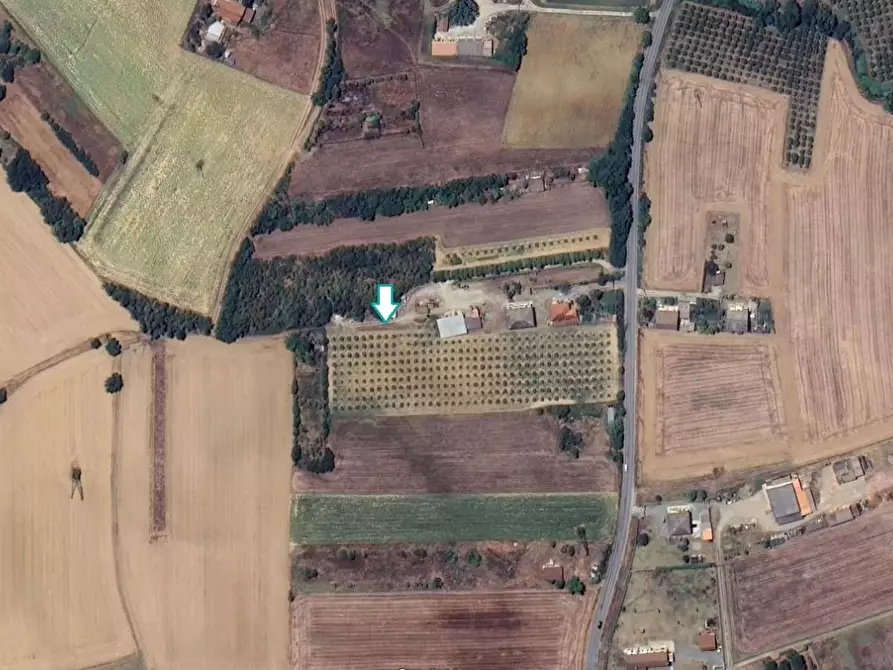 Immagine 1 di Terreno agricolo in vendita  a Felizzano