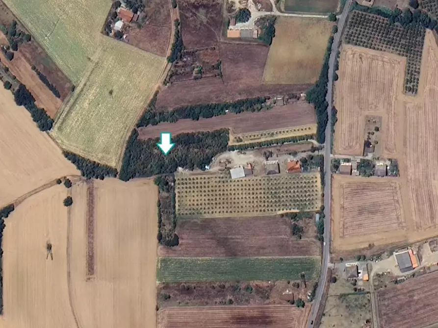 Immagine 1 di Terreno agricolo in vendita  a Felizzano