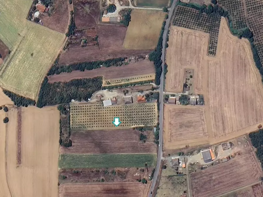 Immagine 1 di Terreno agricolo in vendita  a Felizzano