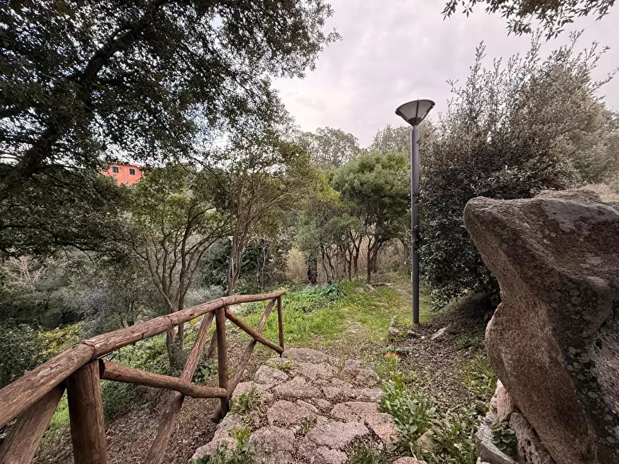 Immagine 19 di Casa indipendente in vendita  a Luogosanto