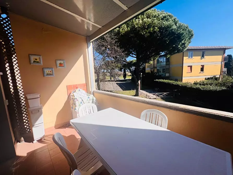 Immagine 8 di Appartamento in vendita  a Bibbona