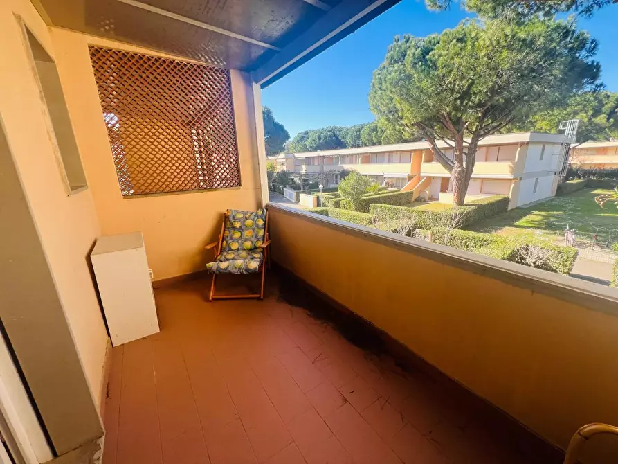 Immagine 17 di Appartamento in vendita  a Bibbona