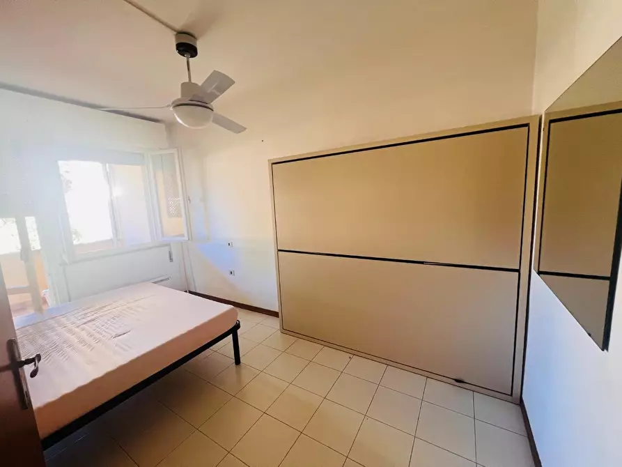 Immagine 14 di Appartamento in vendita  a Bibbona