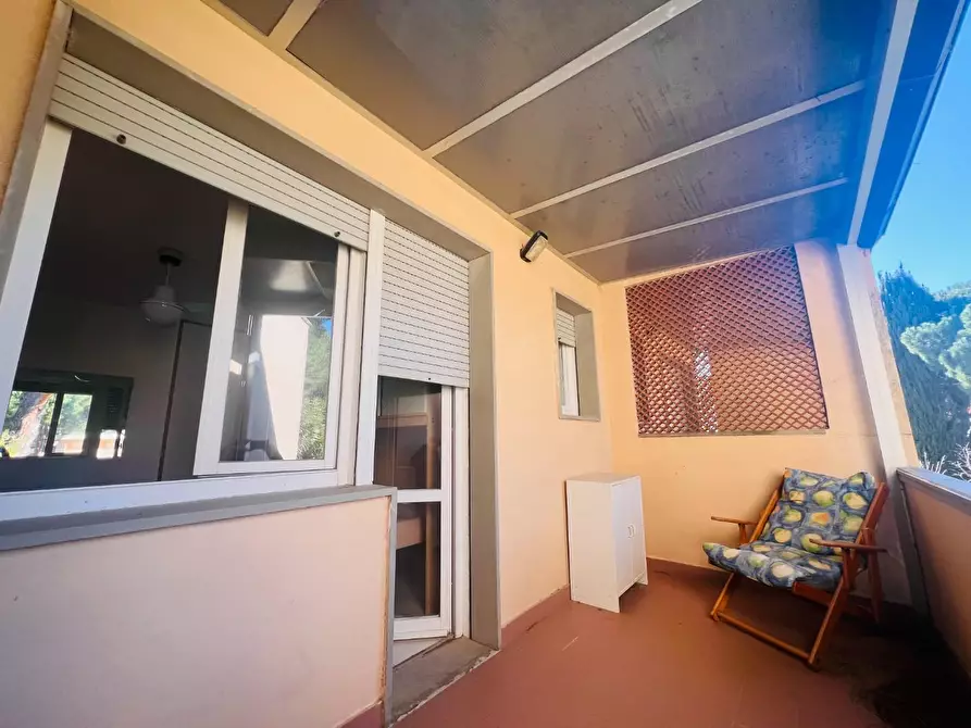 Immagine 18 di Appartamento in vendita  a Bibbona