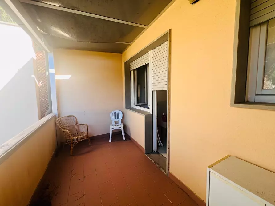 Immagine 19 di Appartamento in vendita  a Bibbona