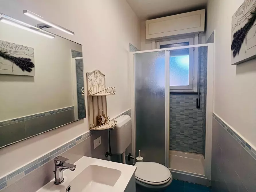 Immagine 12 di Appartamento in vendita  a Bibbona