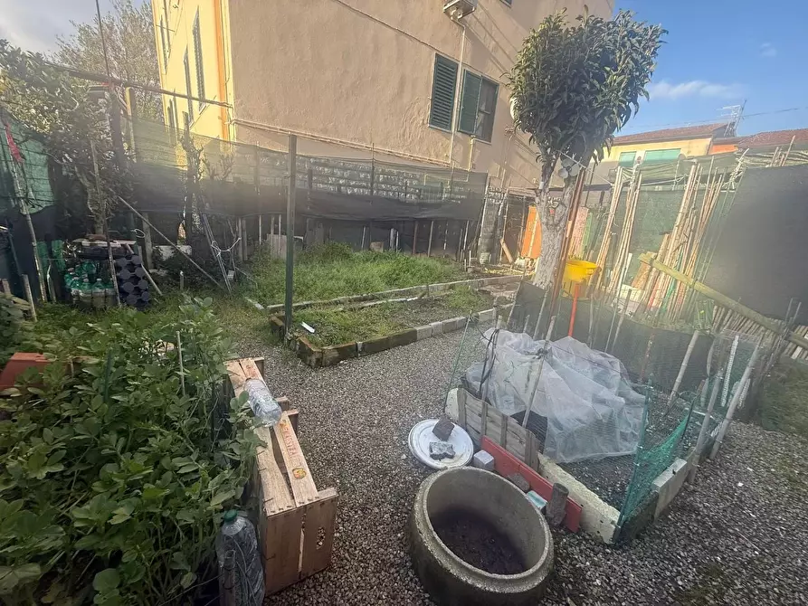 Immagine 23 di Appartamento in vendita  a Capannoli