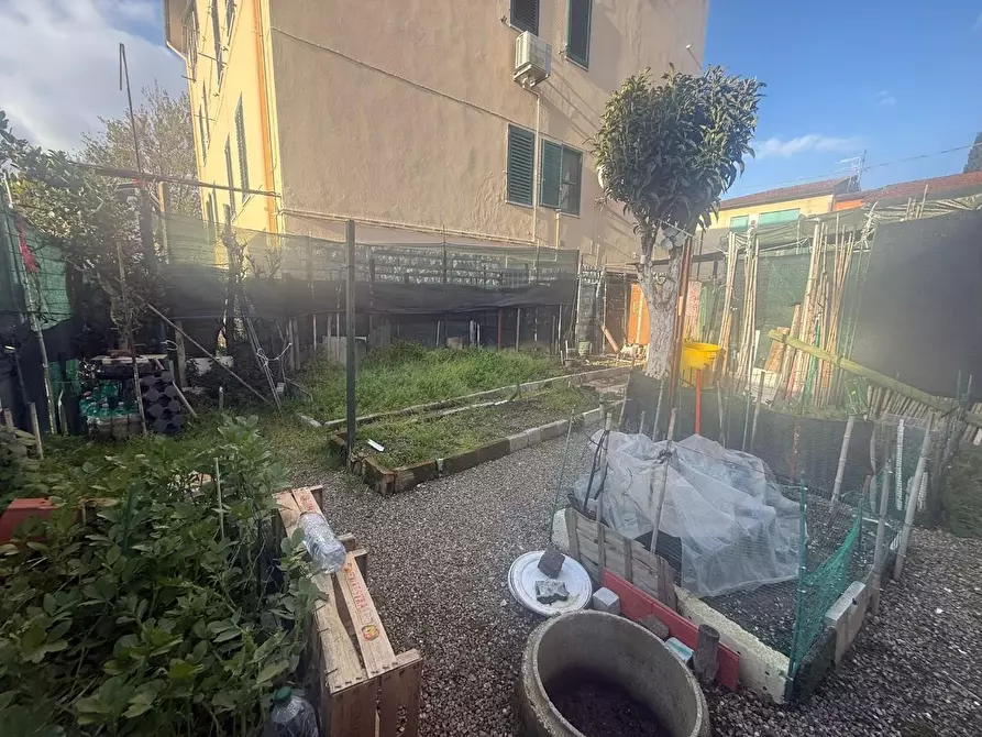 Immagine 21 di Appartamento in vendita  a Capannoli