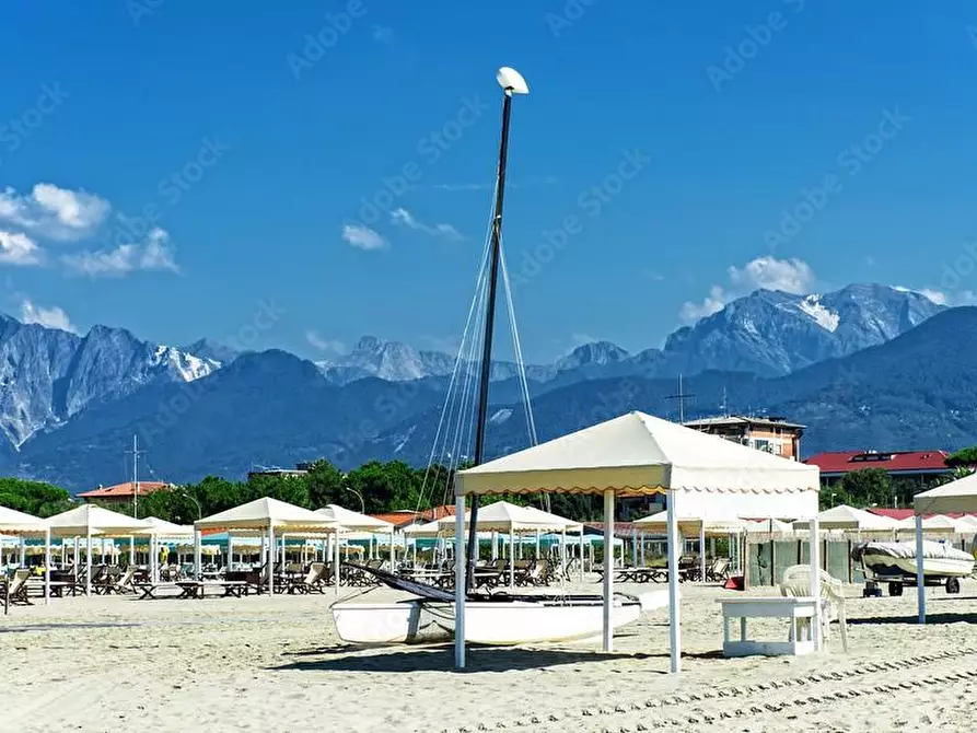 Immagine 7 di Villa in vendita  a Pietrasanta