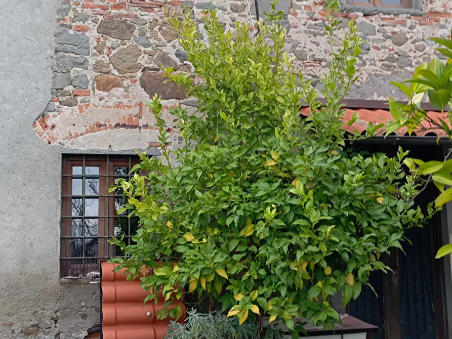 Immagine 2 di Terratetto in vendita  a Montecatini Terme