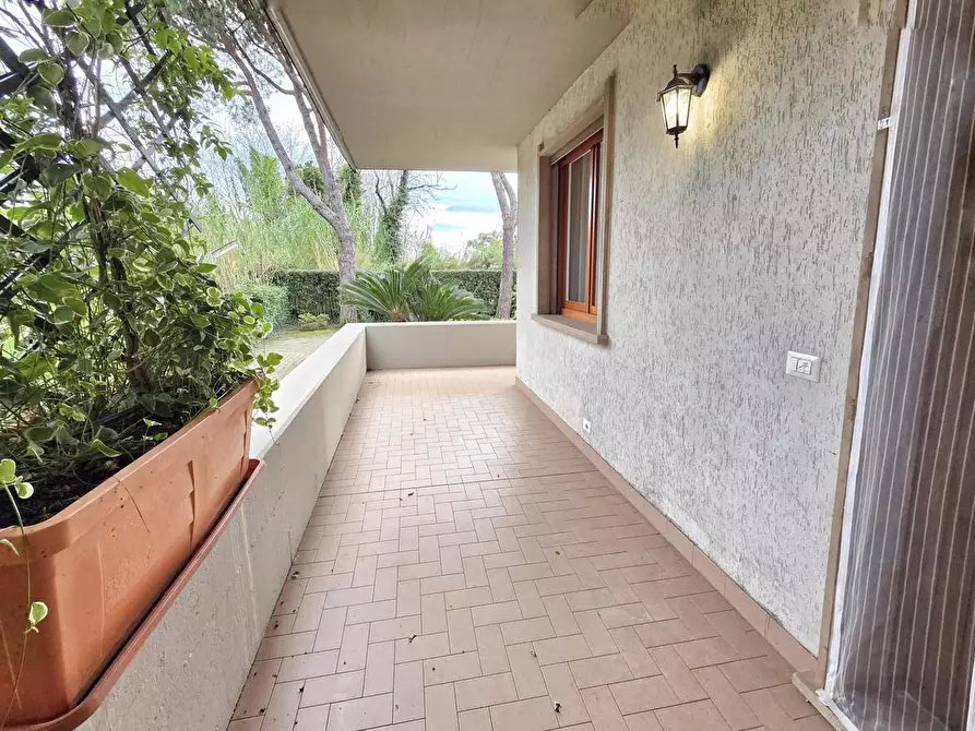 Immagine 4 di Appartamento in vendita  a Massa