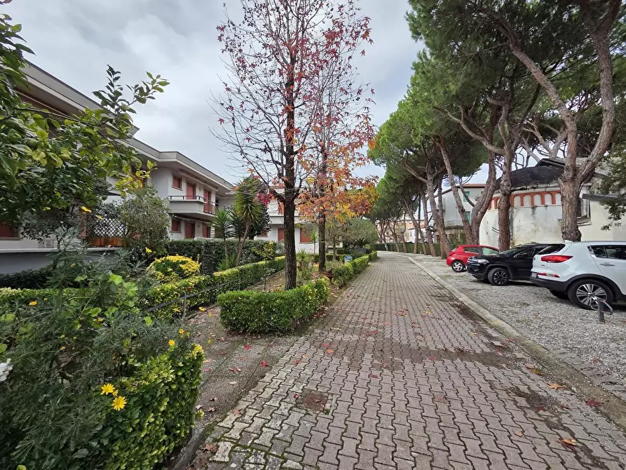 Immagine 27 di Appartamento in vendita  a Massa