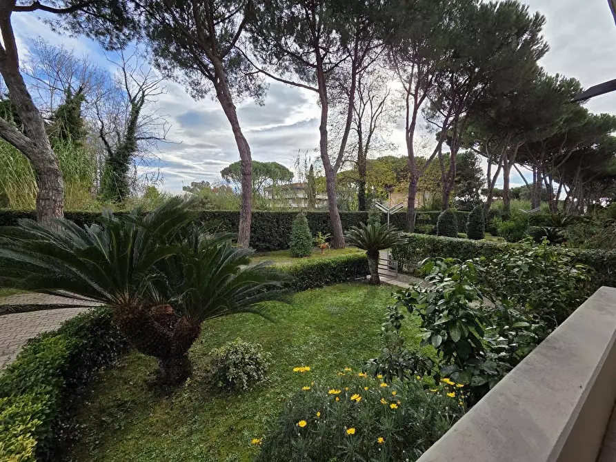 Immagine 2 di Appartamento in vendita  a Massa