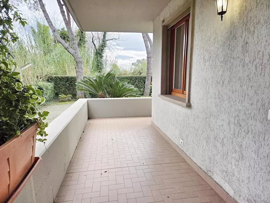 Immagine 5 di Appartamento in vendita  a Massa