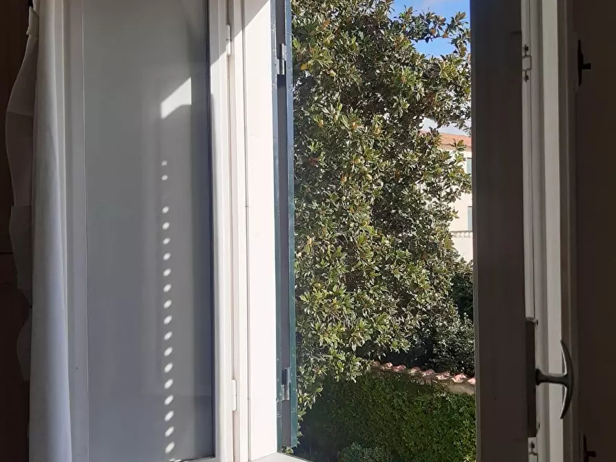 Immagine 11 di Appartamento in affitto  a Livorno