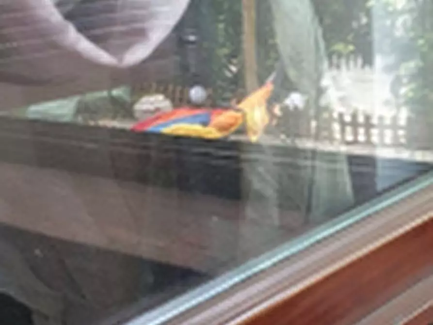 Immagine 14 di Appartamento in vendita  a Beinasco