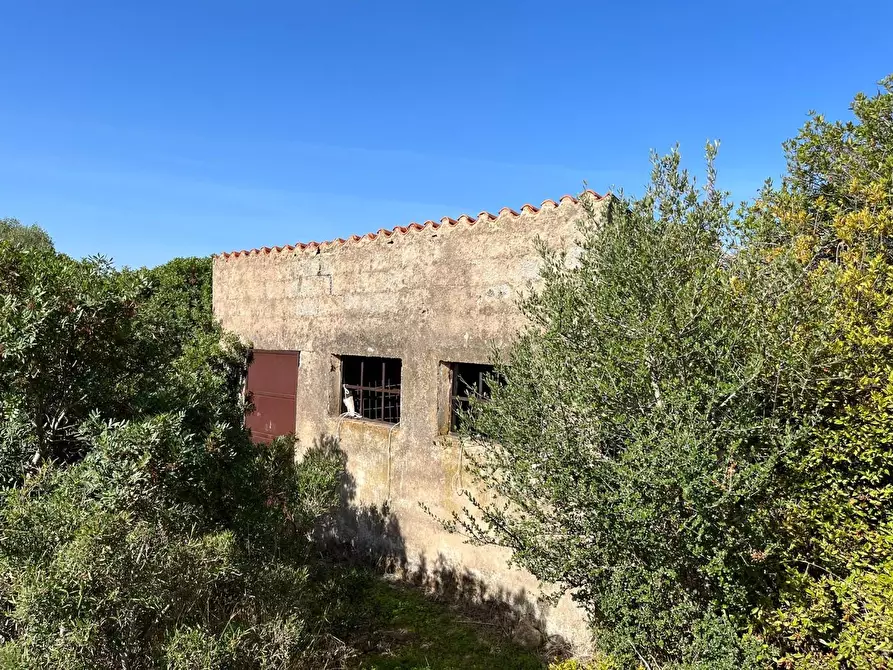 Immagine 16 di Casa colonica in vendita  a Aglientu