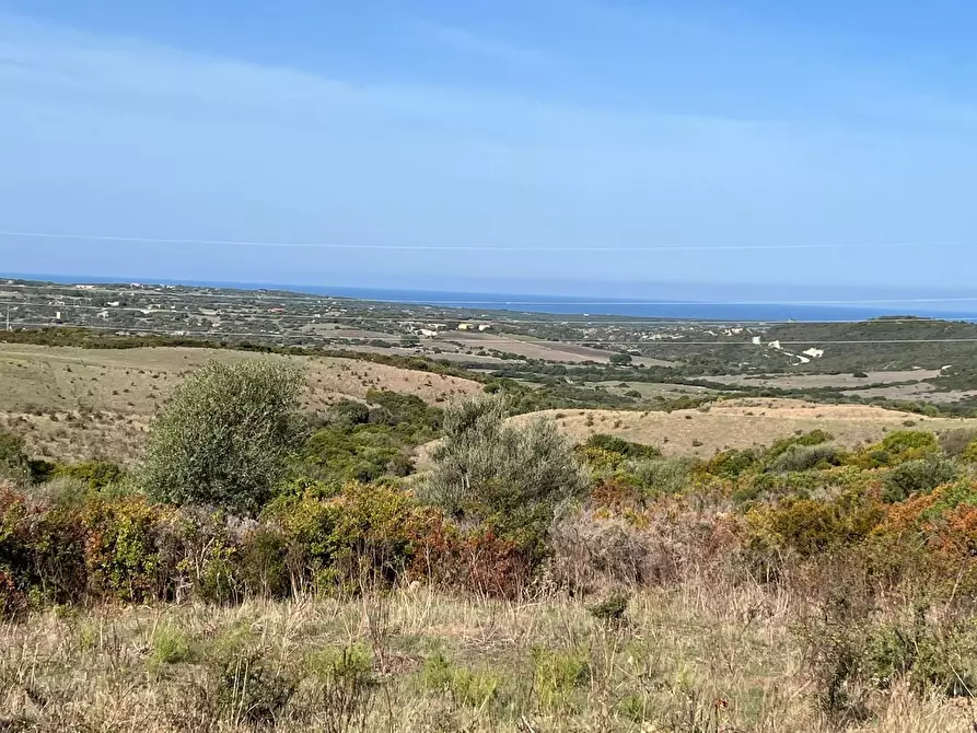 Immagine 35 di Casa colonica in vendita  a Aglientu