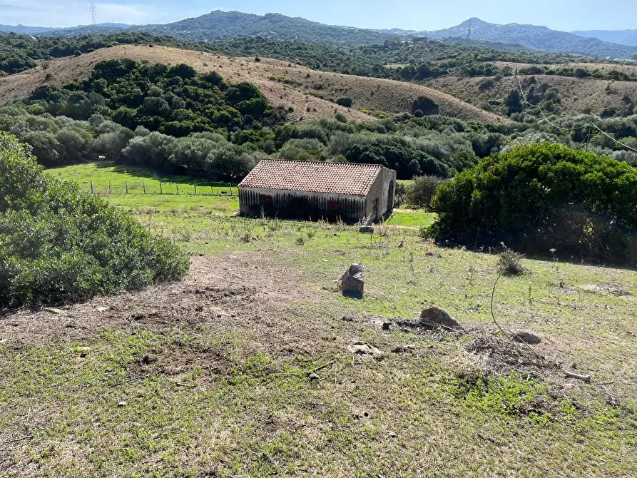 Immagine 15 di Casa colonica in vendita  a Aglientu