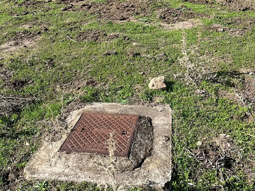 Immagine 14 di Casa colonica in vendita  a Aglientu