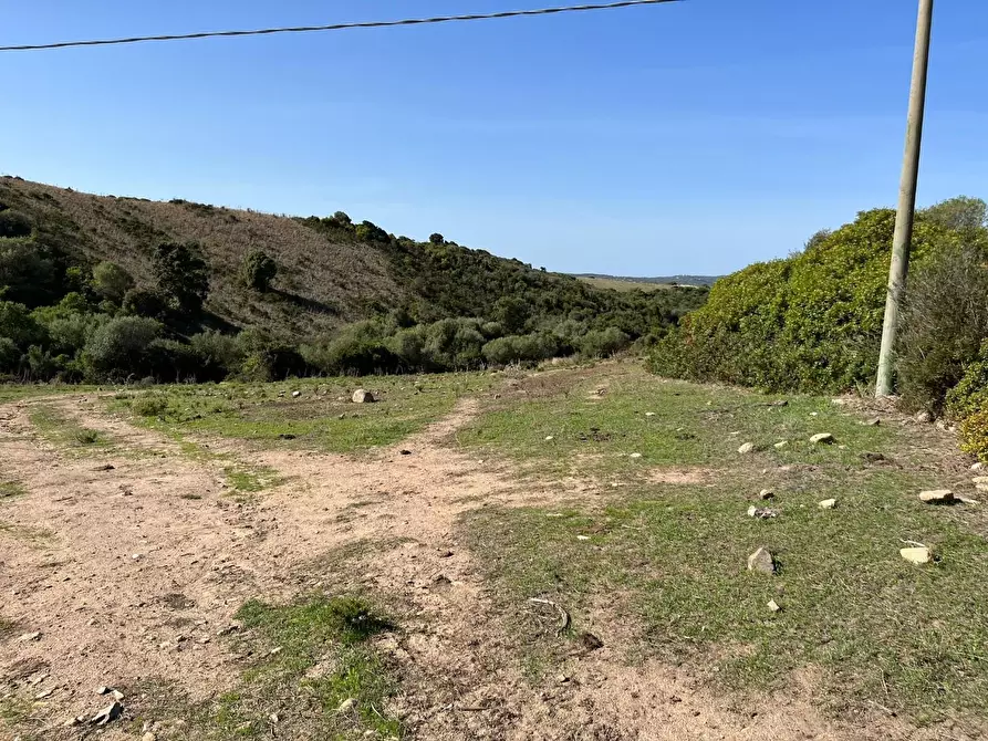 Immagine 26 di Casa colonica in vendita  a Aglientu
